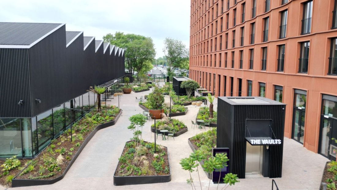 Photo of landscaped raised beds, lush with green plants, between two, modern blocks of buildings.