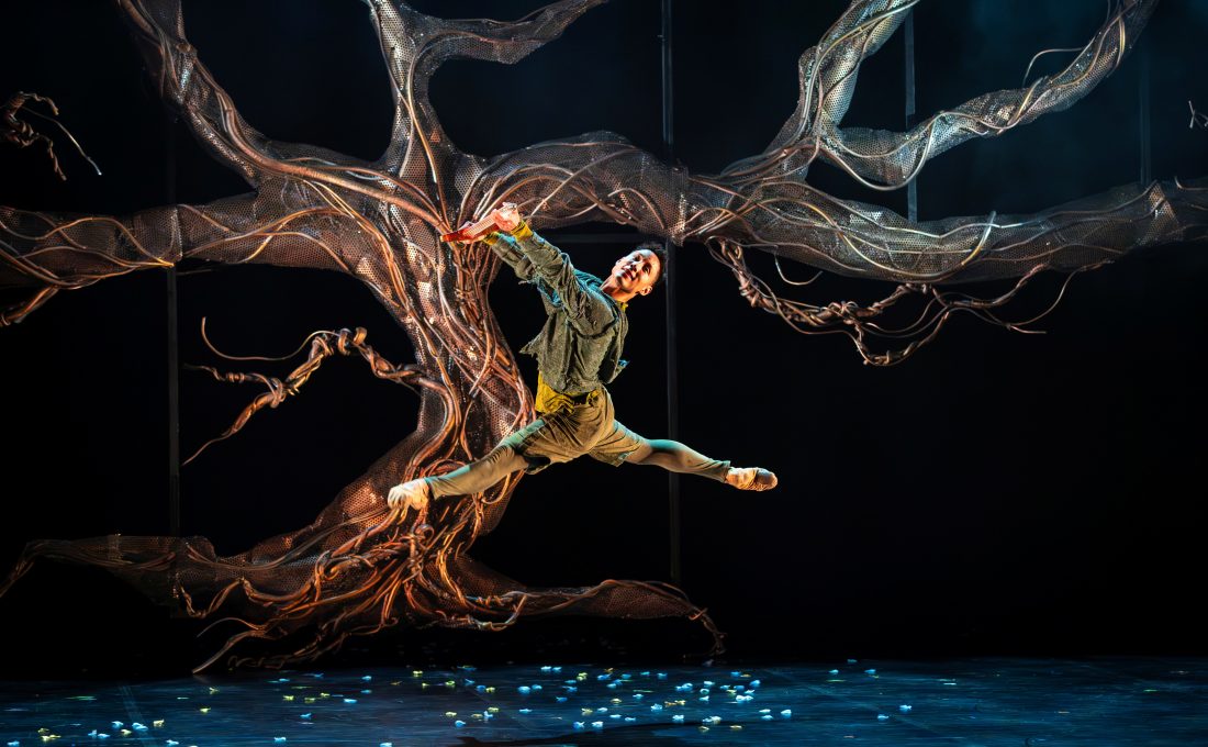 Photo of a ballet dancer leaping across the stage, in front of a sprawling, leafless tree which is part of the set.